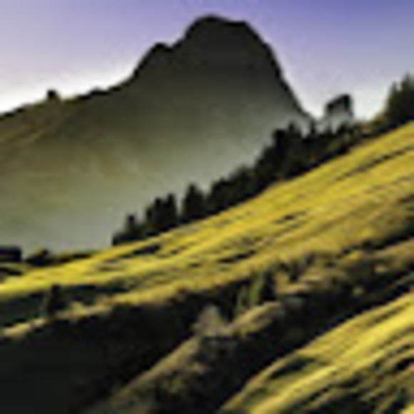 Meet your Posher, Patricia - Picture 1 of 1